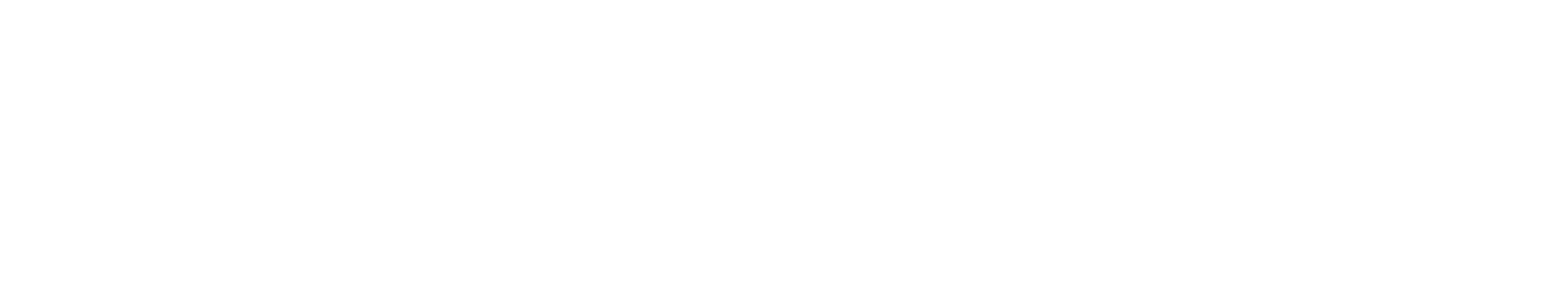 BRAFOR Projetos Ambientais e Florestais