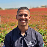 Gabriel Pinheiro - BRAFOR Projetos Ambientais e Florestais